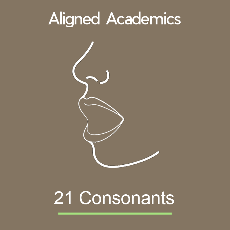 Learn the 21 Consonants: 21 Lessons for Multisensory Reading Intervention